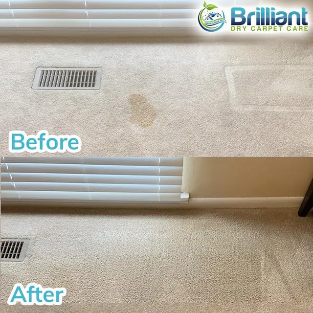 A before and after of pet stain removal on a carpet beside a floor vent, photographed by Brilliant Dry Carpet Care