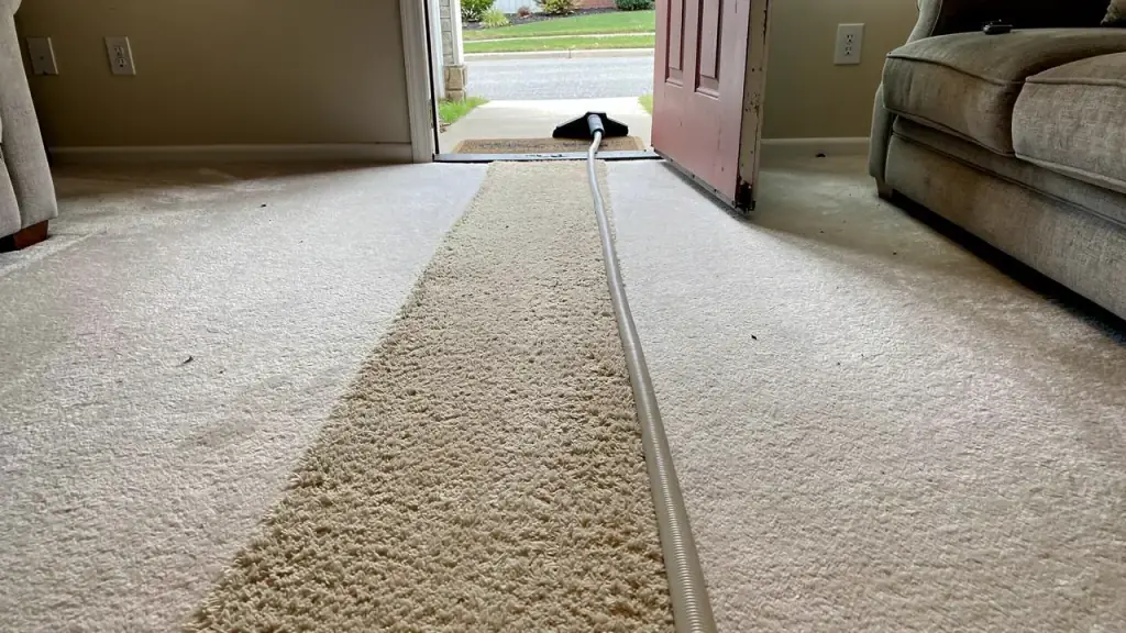A soiled traffic lane running across a pale carpet toward an open front door
